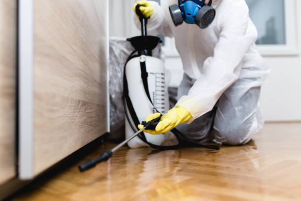 Best Wildlife Control Services  in Henrietta, TX