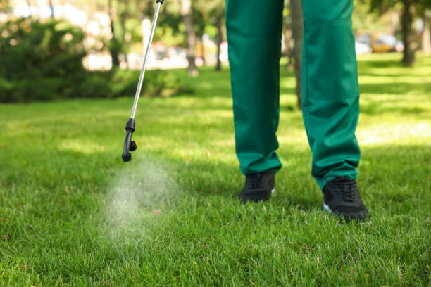 Best Pest Control Near Me in Henrietta, TX