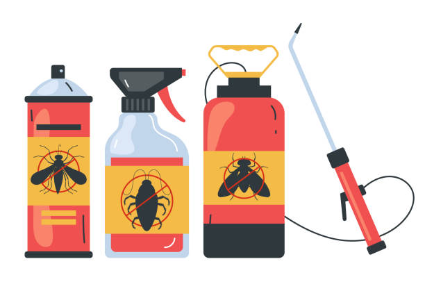 Best Affordable Pest Control Services  in Henrietta, TX